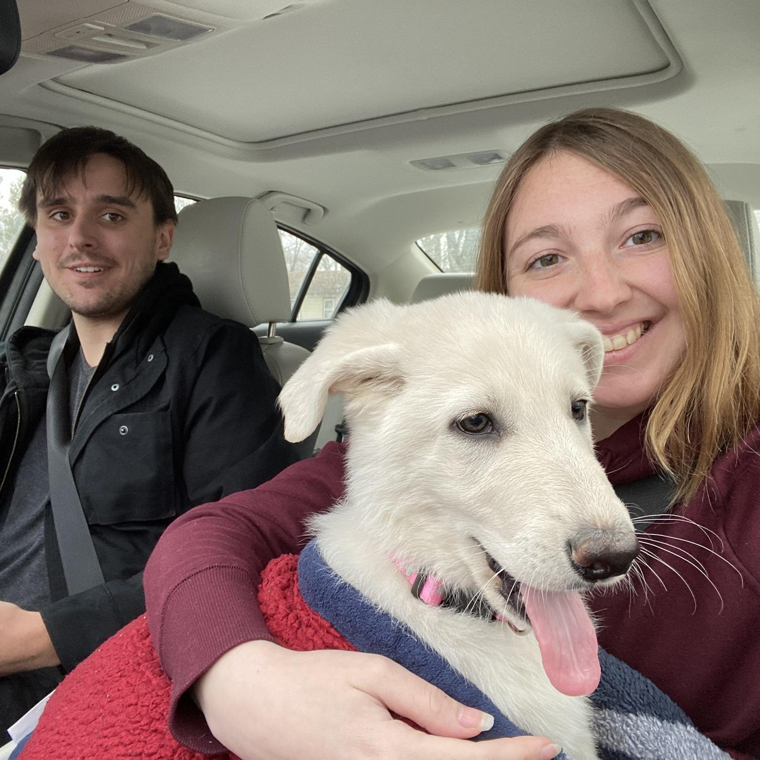 Foster and Miranda welcome Leia to the family, and officially become dog parents.