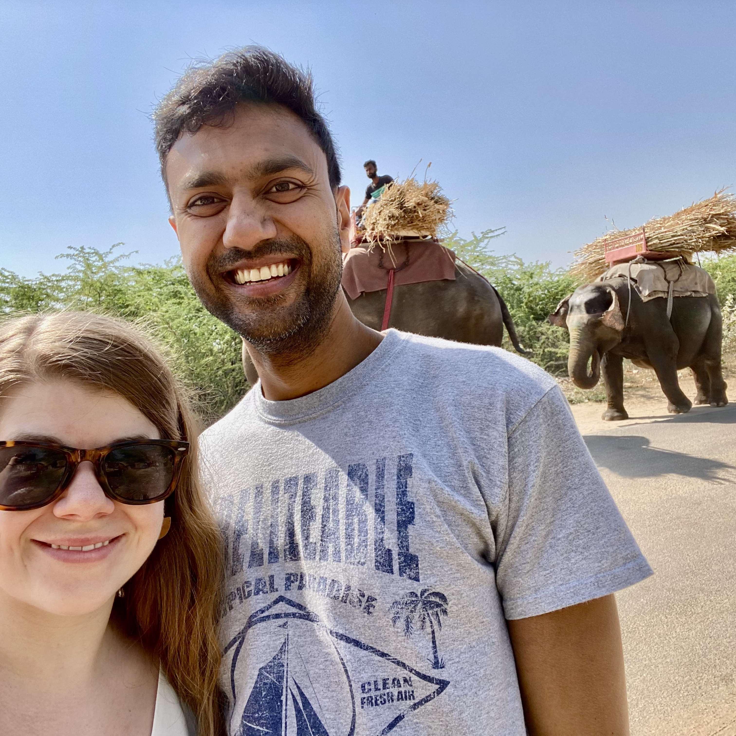 Elephants in Jaipur, 2022