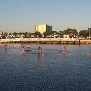 Stand UP Paddle Lessons