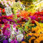 Spitalfields Market
