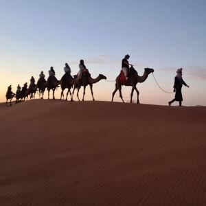Sahara Desert Camelback Camping Trip