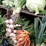 Pick fresh produce & flowers at Rosaly's Garden and Farm Stand