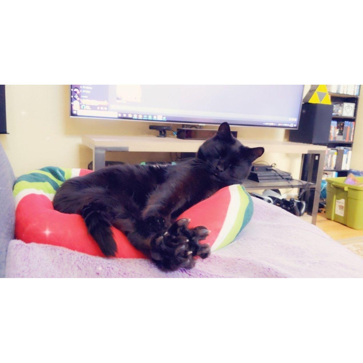 toe beans!!