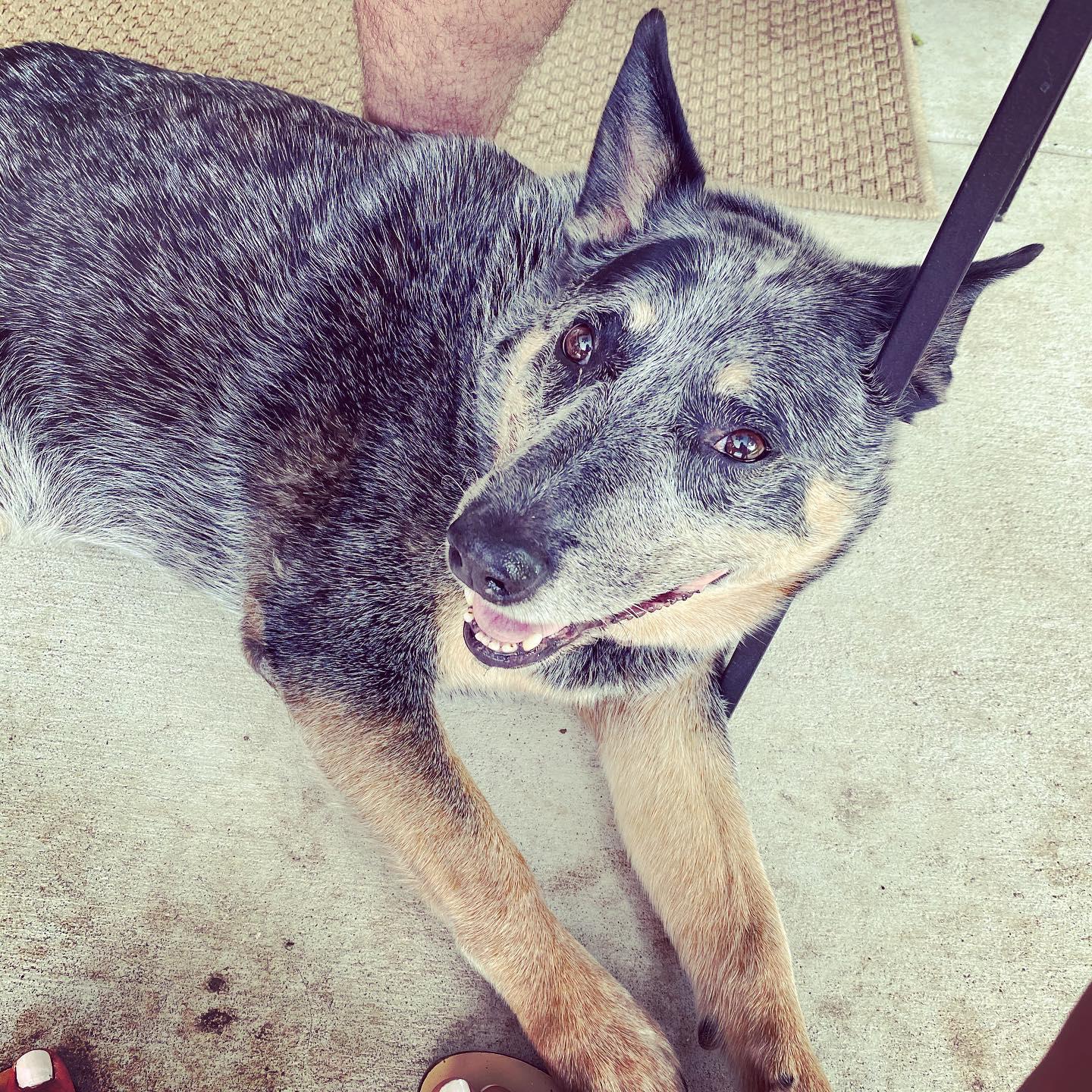 Lucy girl!