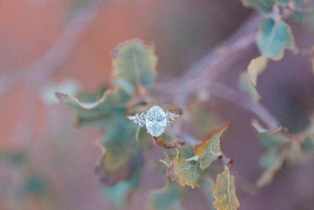 The Wedding Website of Grace Subramani and Jacob Huffman