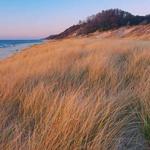 Saugatuck Dunes State Park