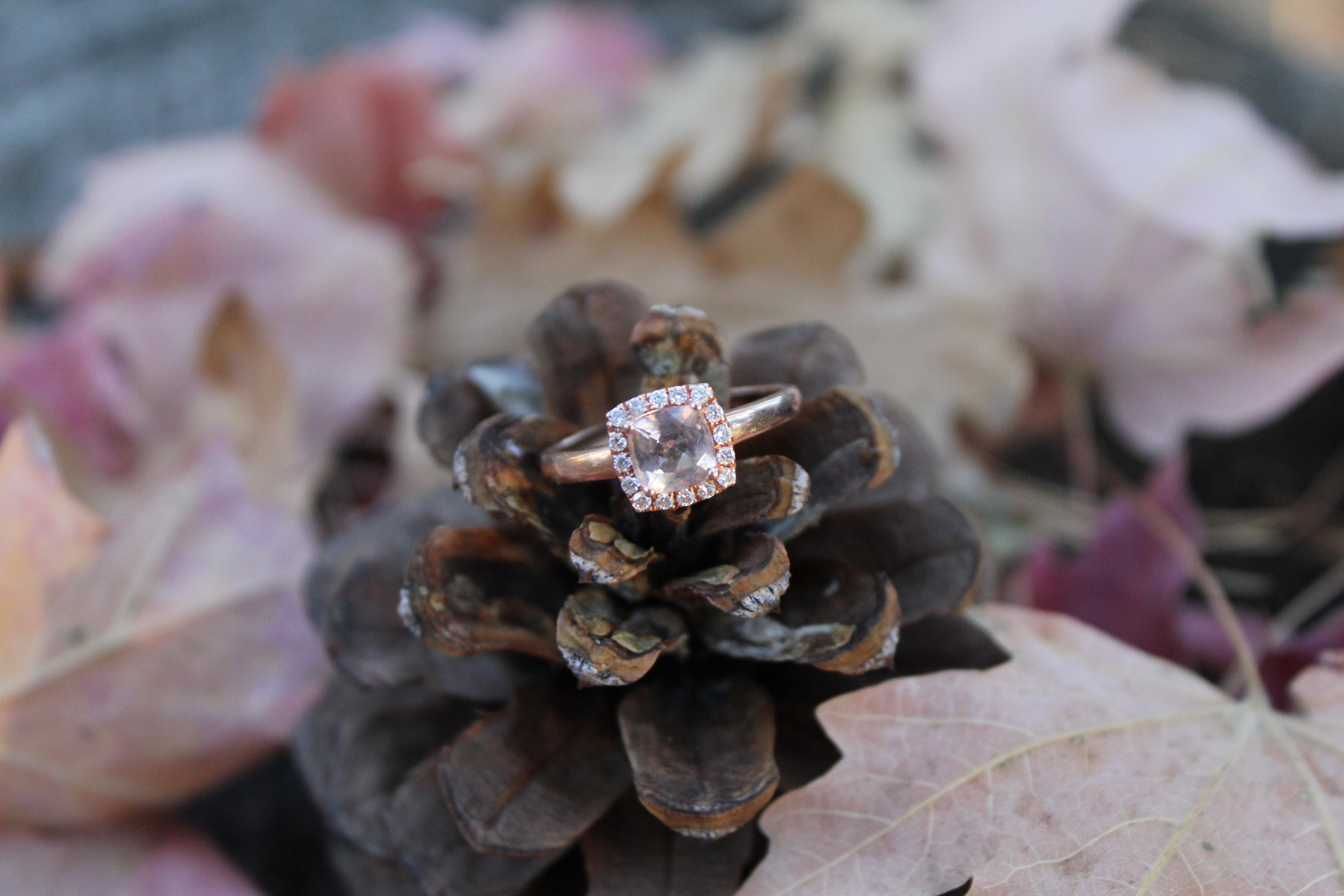 The Wedding Website of Megan Krane and Jacob Bowdon