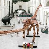Field Museum