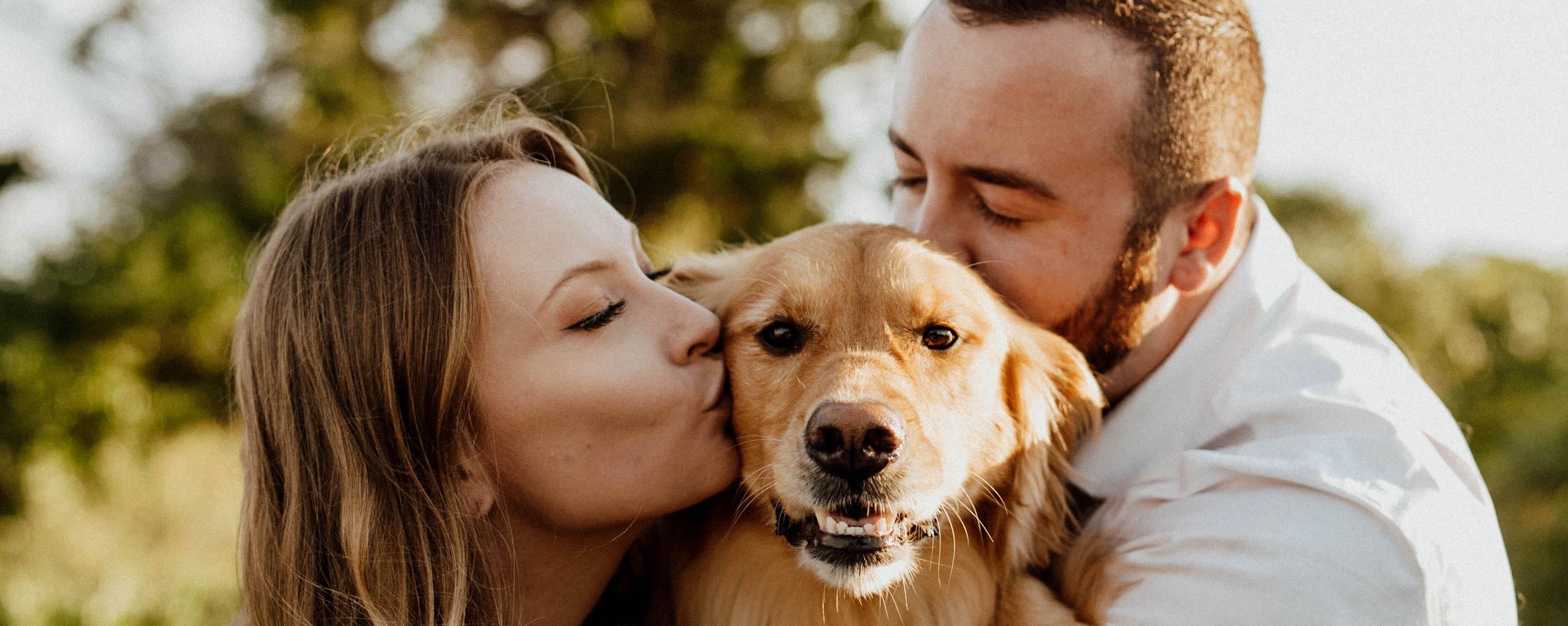 The Wedding Website of Molly McGuigan and David Czako