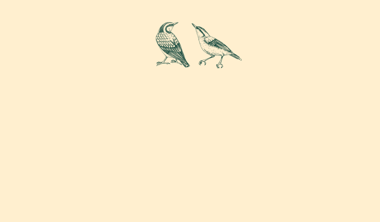 Footer image