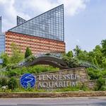 Tennessee Aquarium