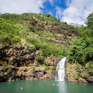 Waimea Waterfall excursion in Hawaii
