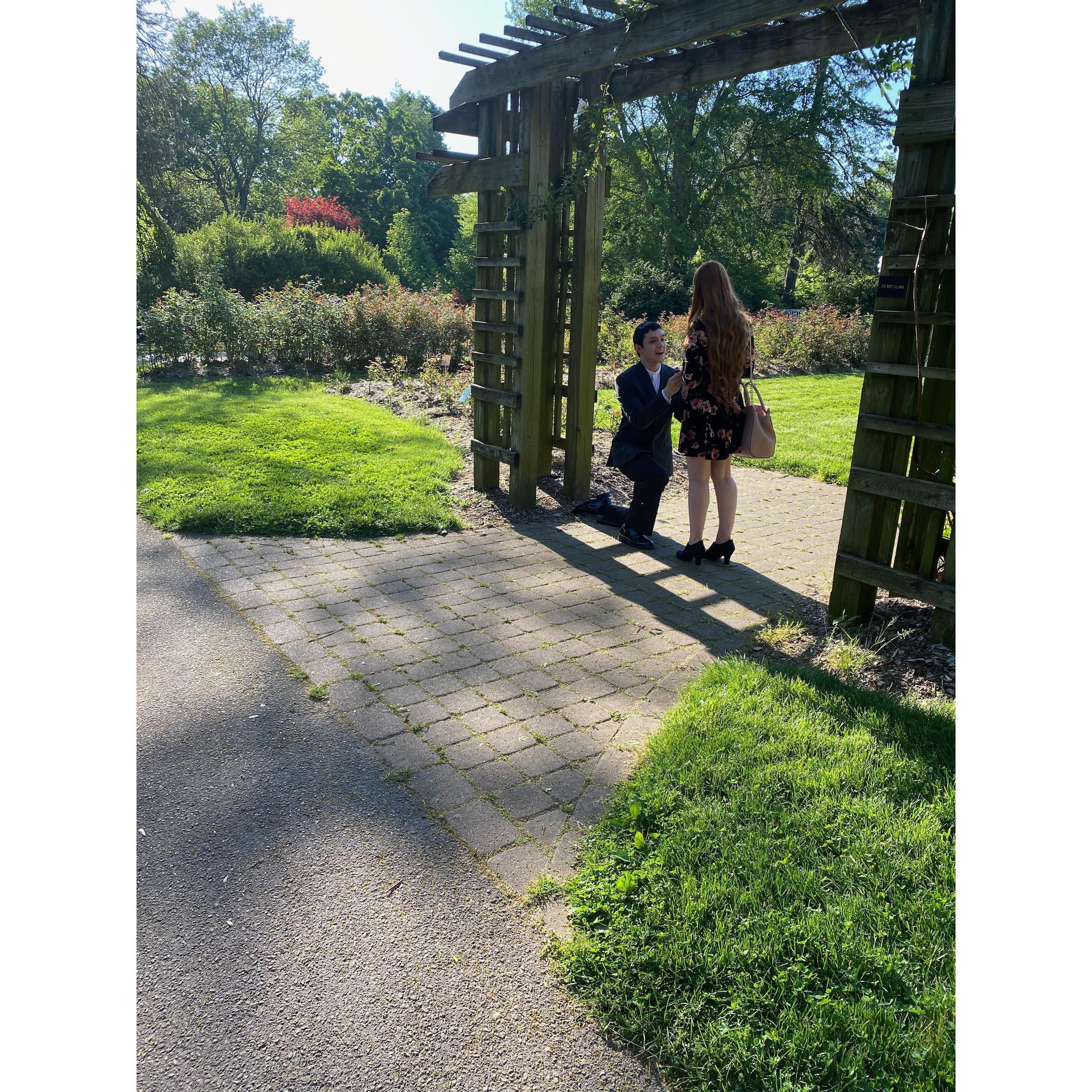 Engagement day
