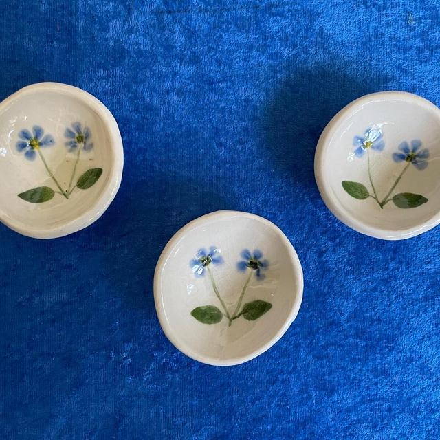 Salt Water Bowl Set