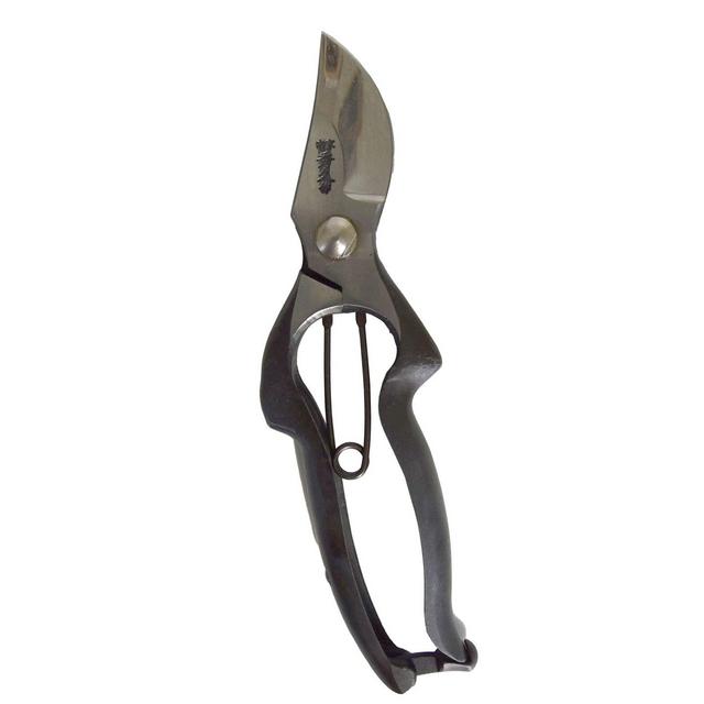 Pruning Shears