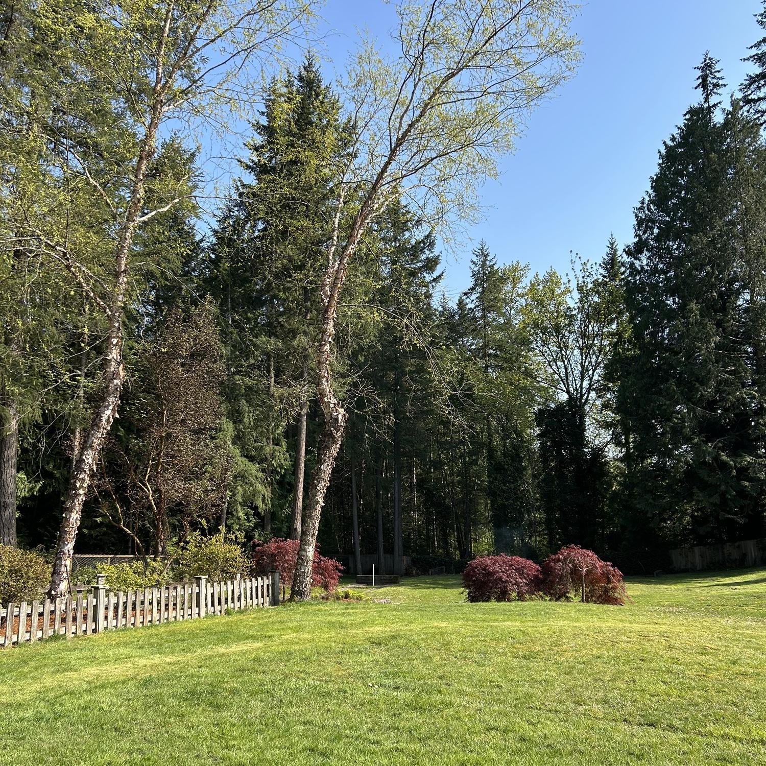 Ceremony site!