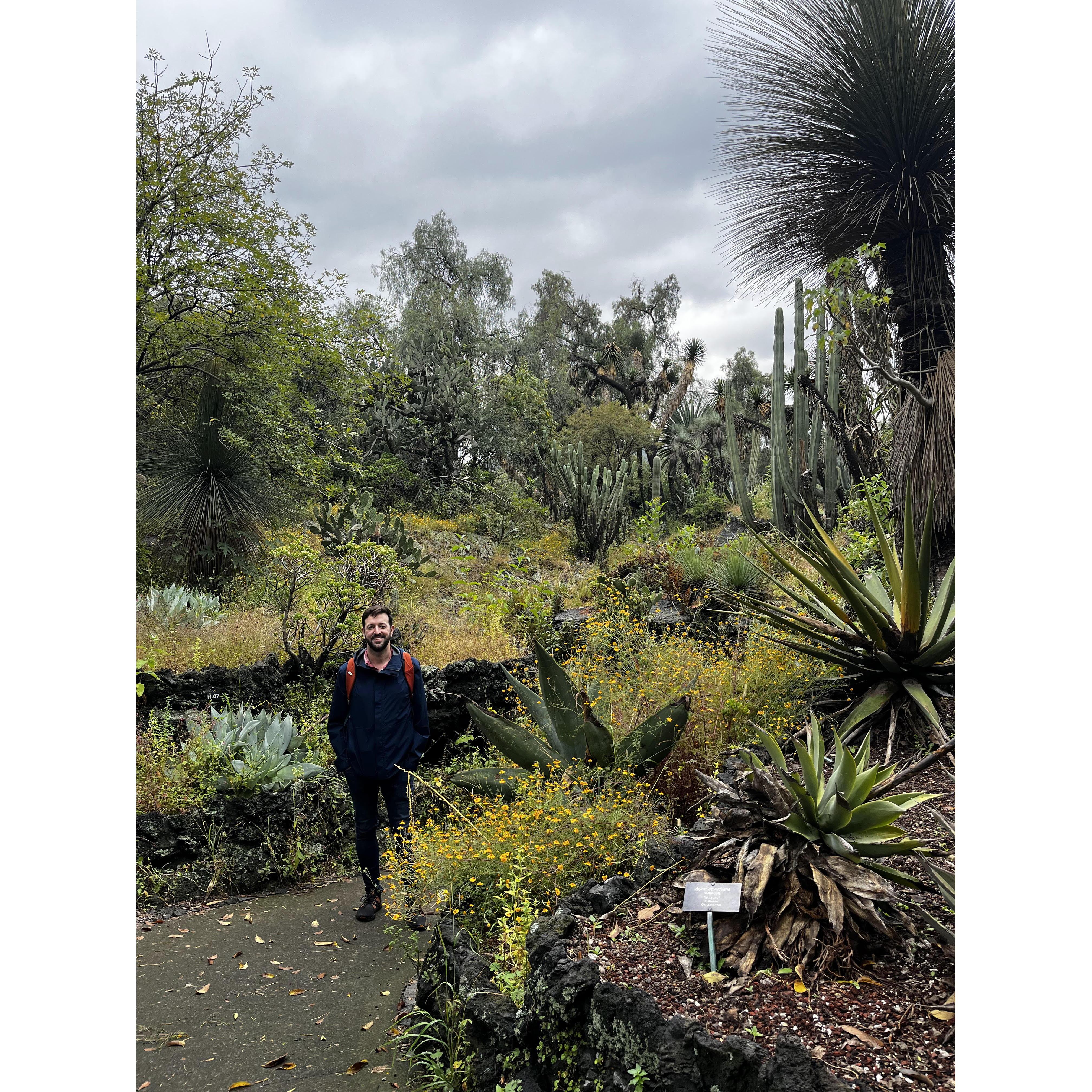 Joshua among hundreds of species of cacti at the UNAM botanical garden.