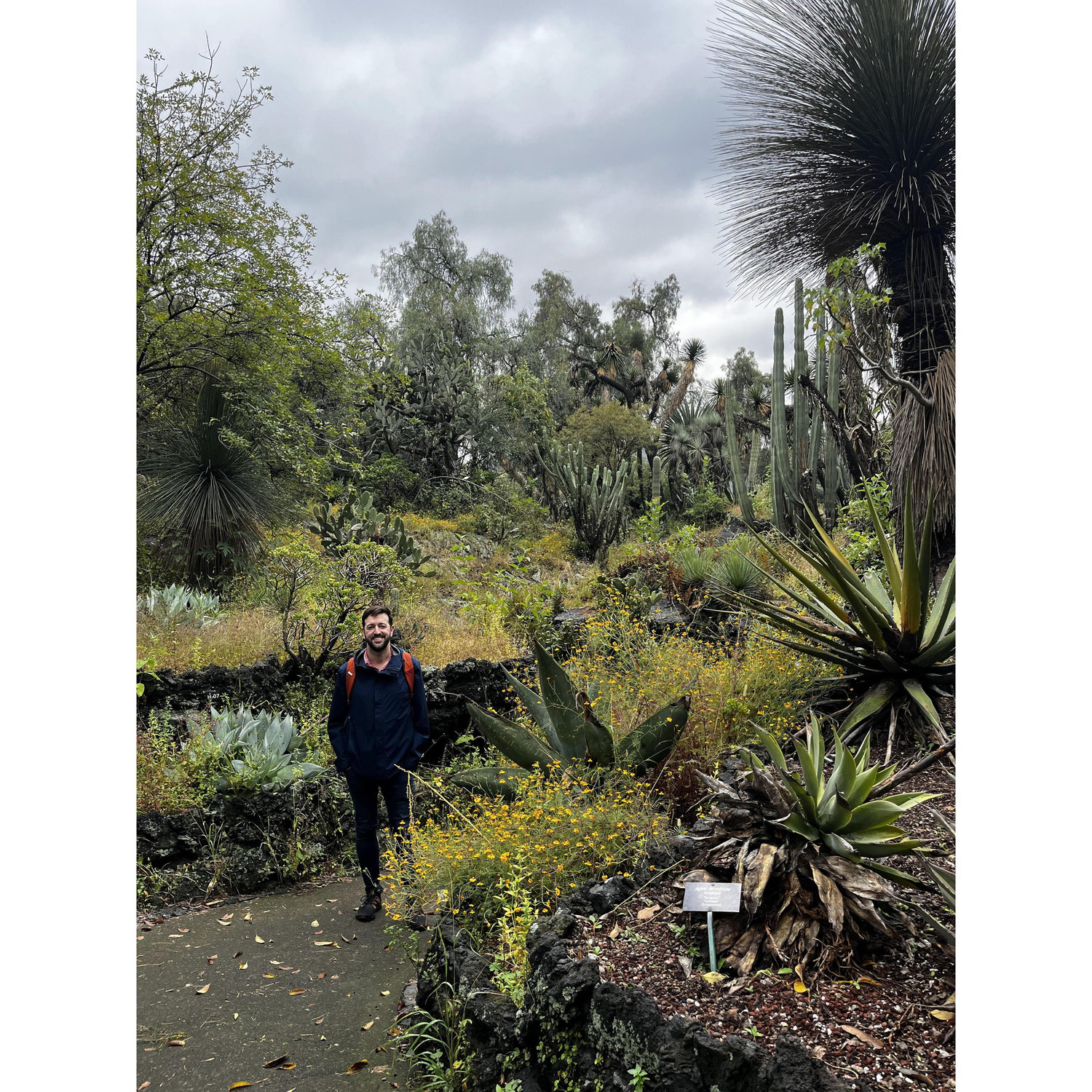 Joshua among hundreds of species of cacti at the UNAM botanical garden.