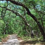 Guana River Marsh Aquatic Preserve