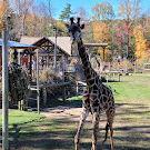 Eagle Rock Reservation Trail Parking