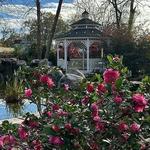 The Cottage Restaurant & Bar