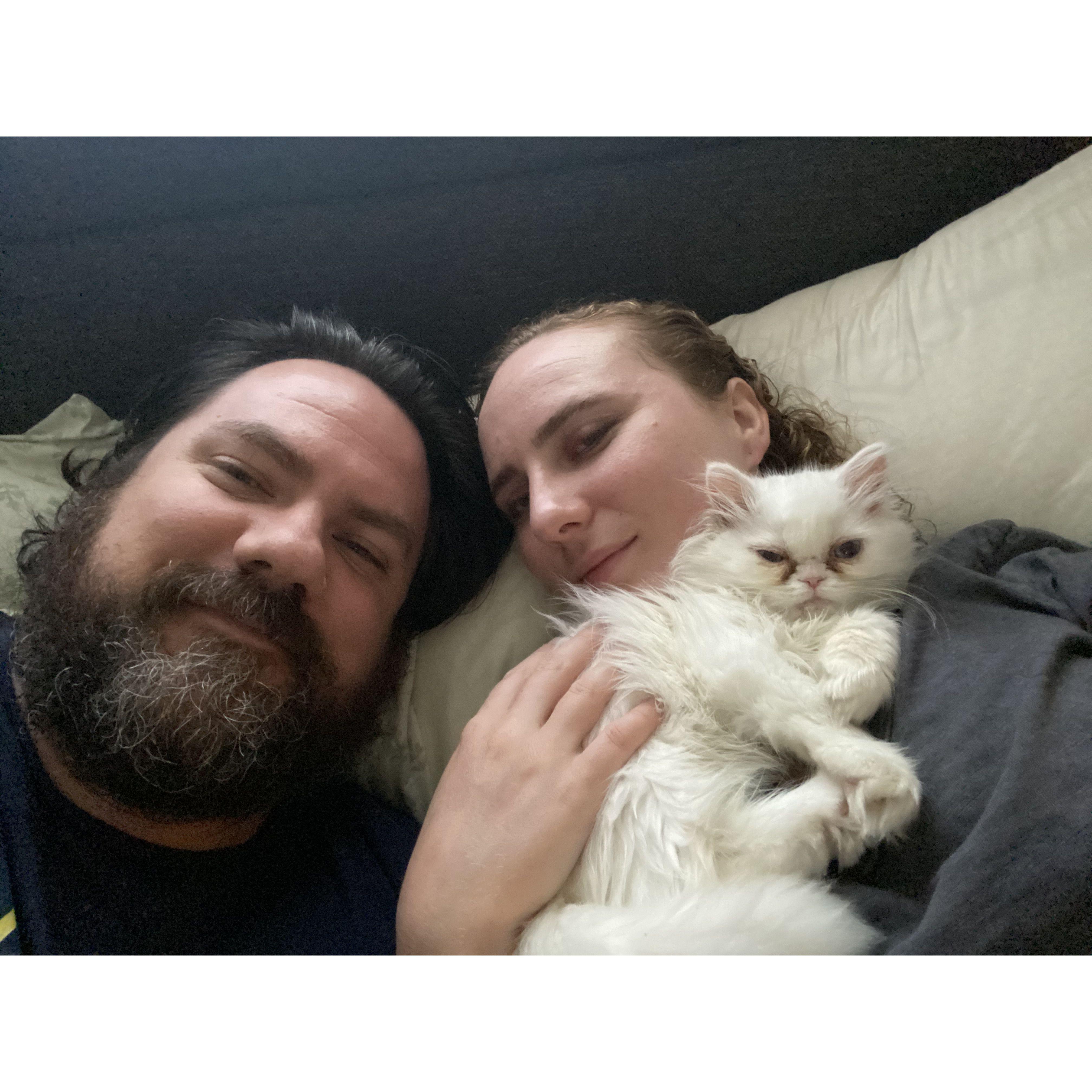 First cat, Lola