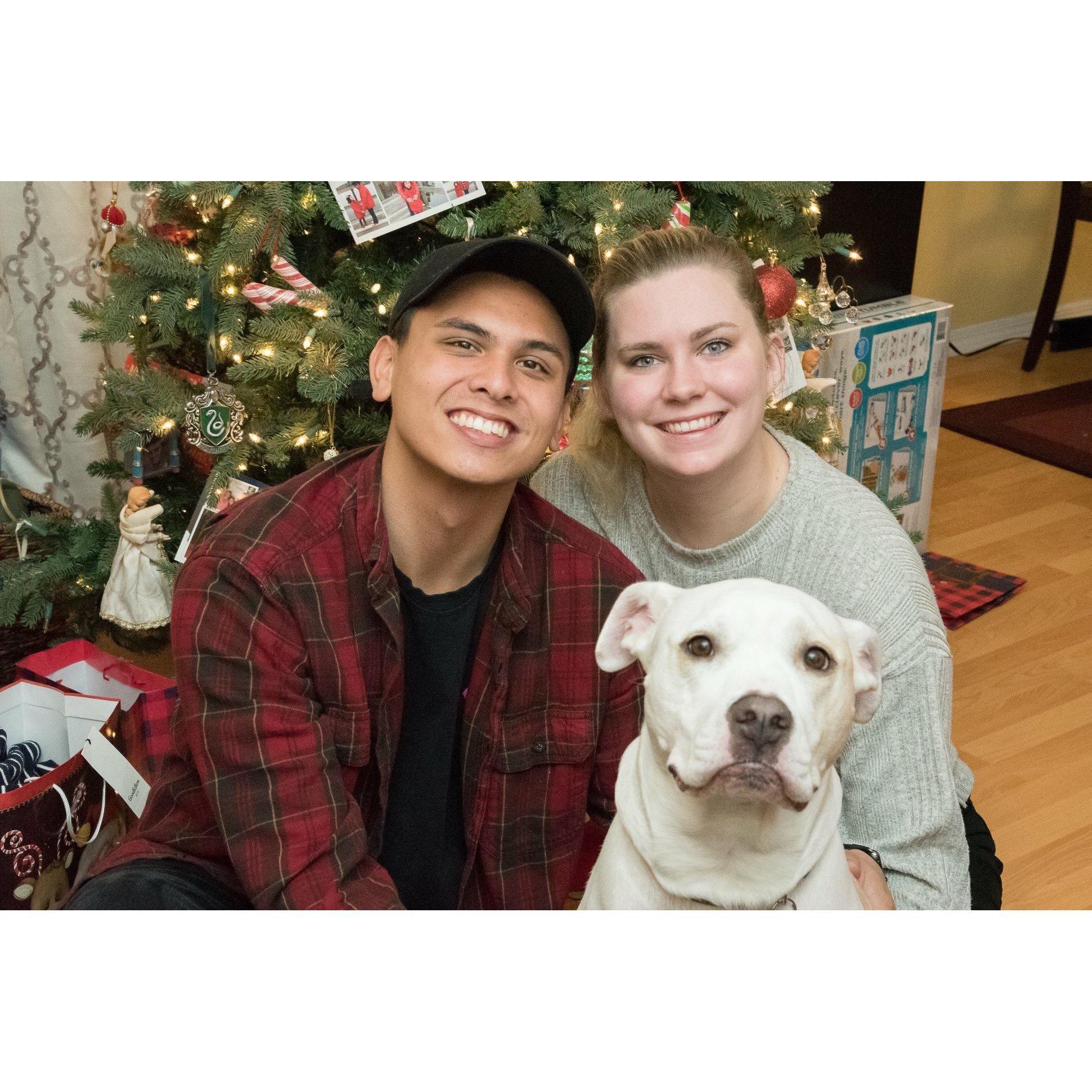 Christmas 2018 featuring our photogenic, yet very cranky, dog Chance.