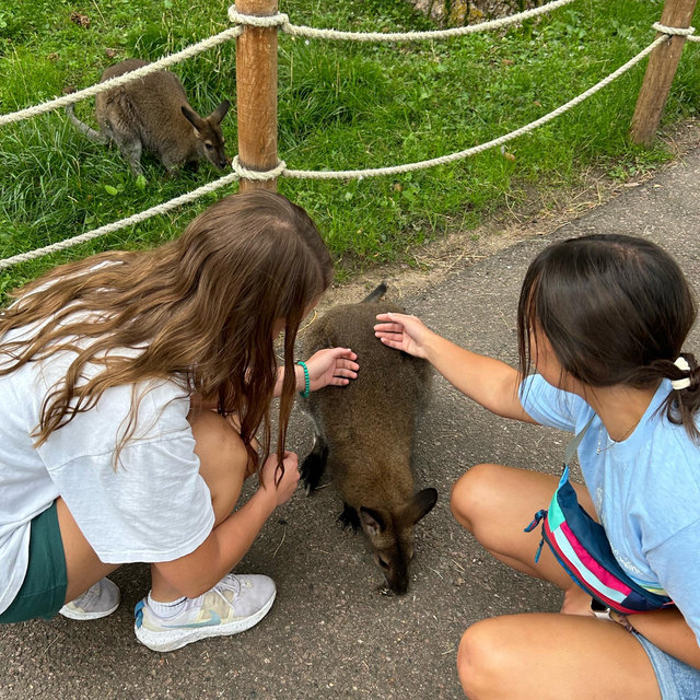 Zoo membership