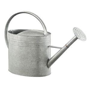 GroundWork 2 gal. Metal Watering Can at Tractor Supply Co