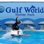 Gulf World