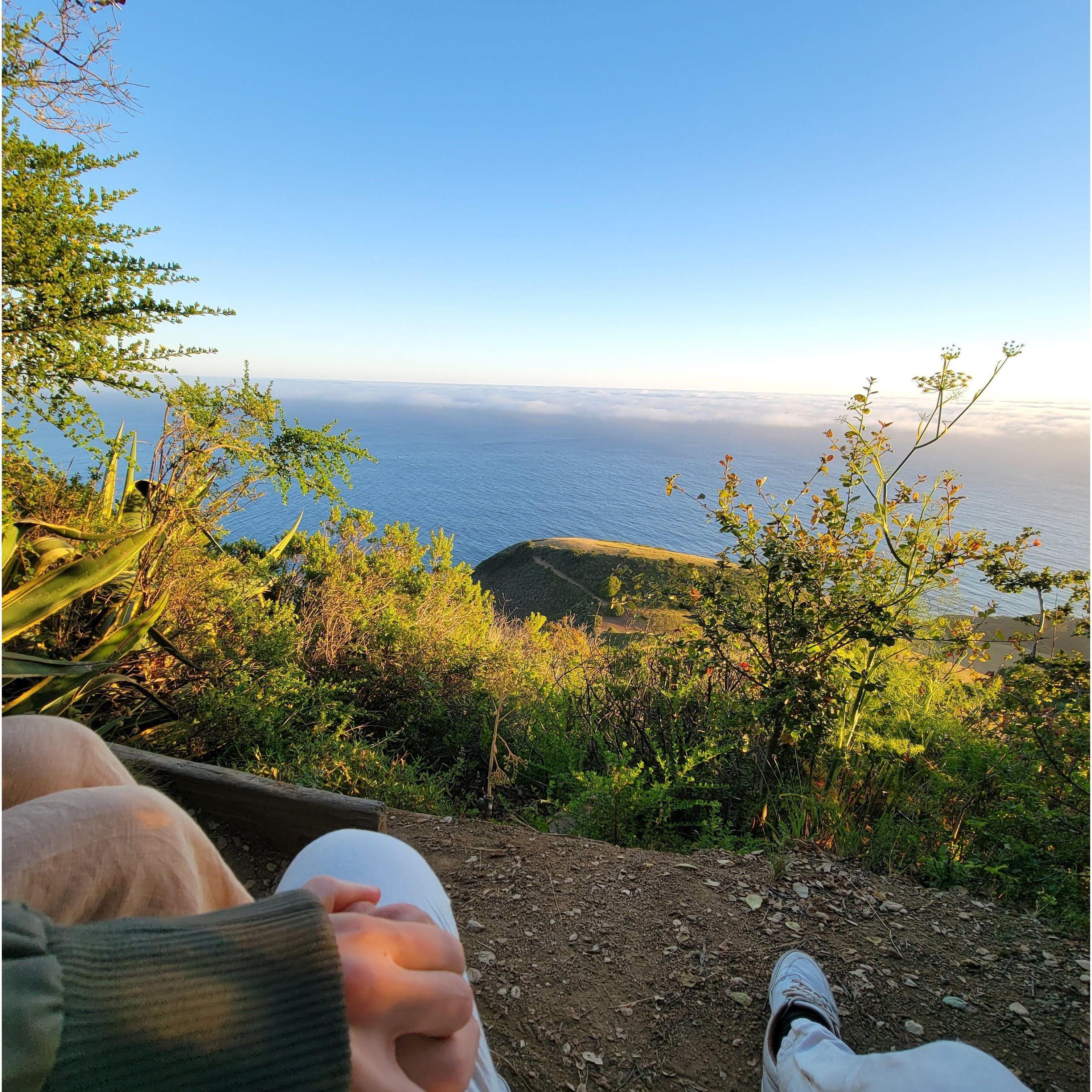 Proposal View