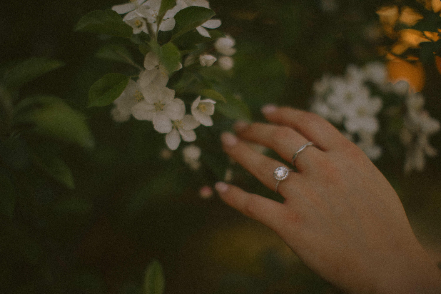The Wedding Website of Breanna Wenner and Austen Ney