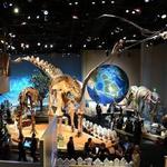 Perot Museum of Nature and Science