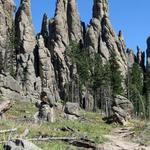 Needles Highway (Scenic Drive)