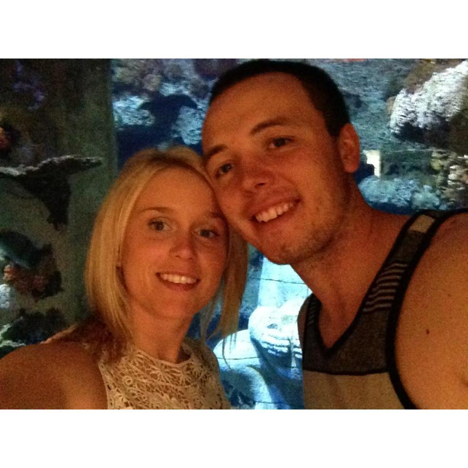 Aquarium in Mandalay Bay.