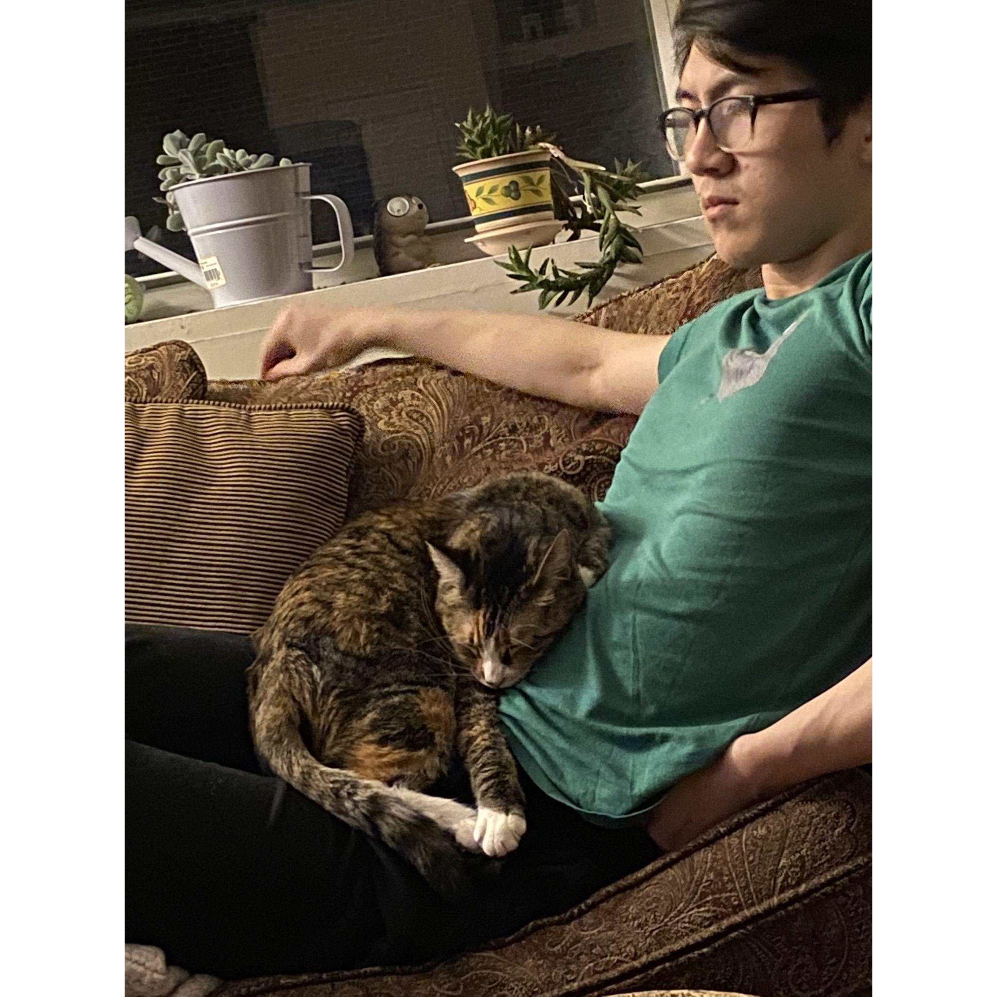 I HAVE BEEN CHOSEN