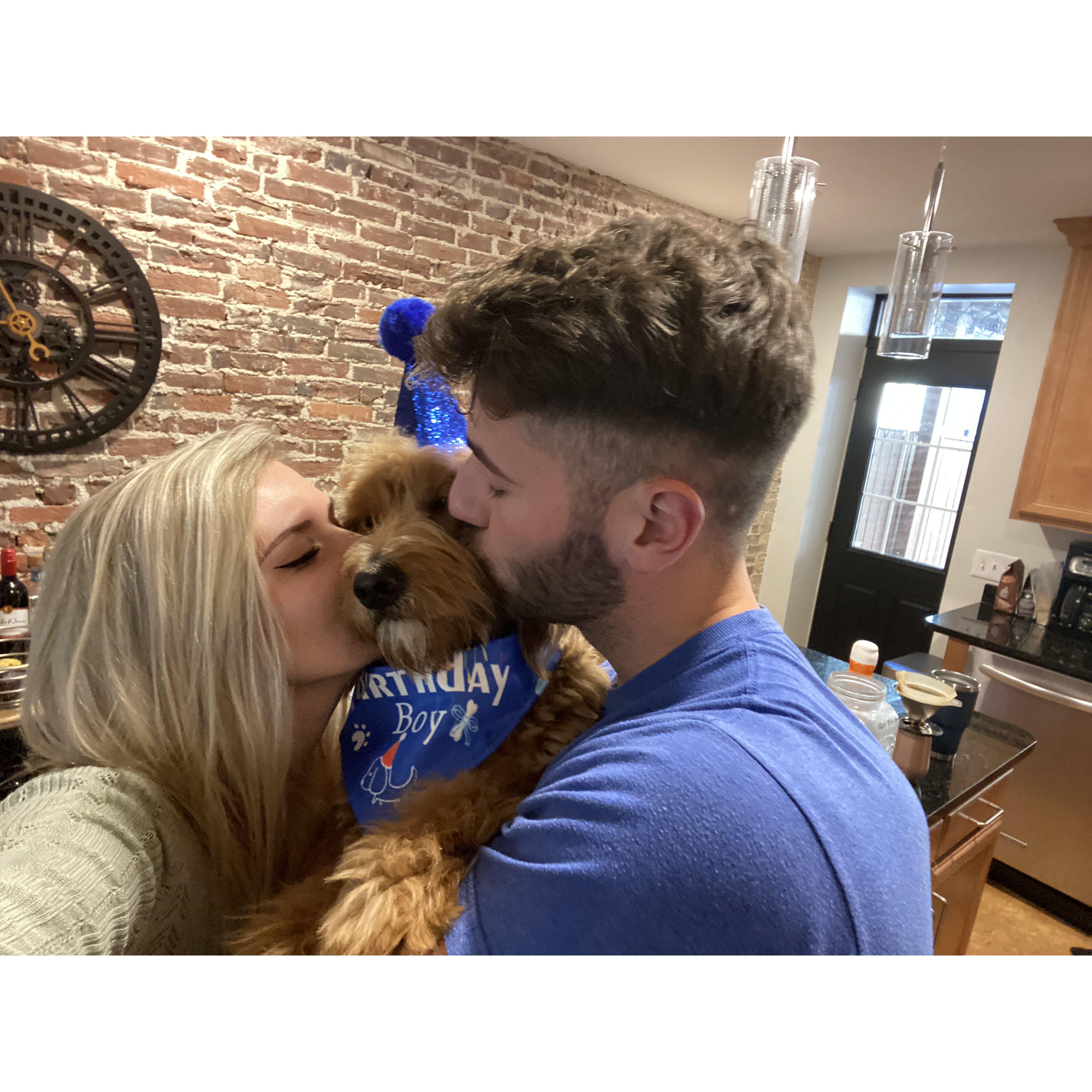 Our Teddy's First Birthday