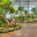 Krohn Conservatory