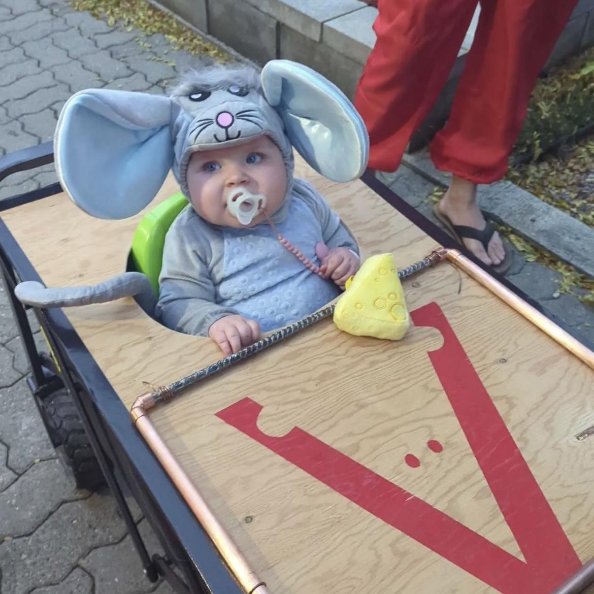 Caught a mouse! 
Halloween 2025