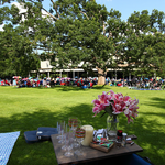 Tanglewood