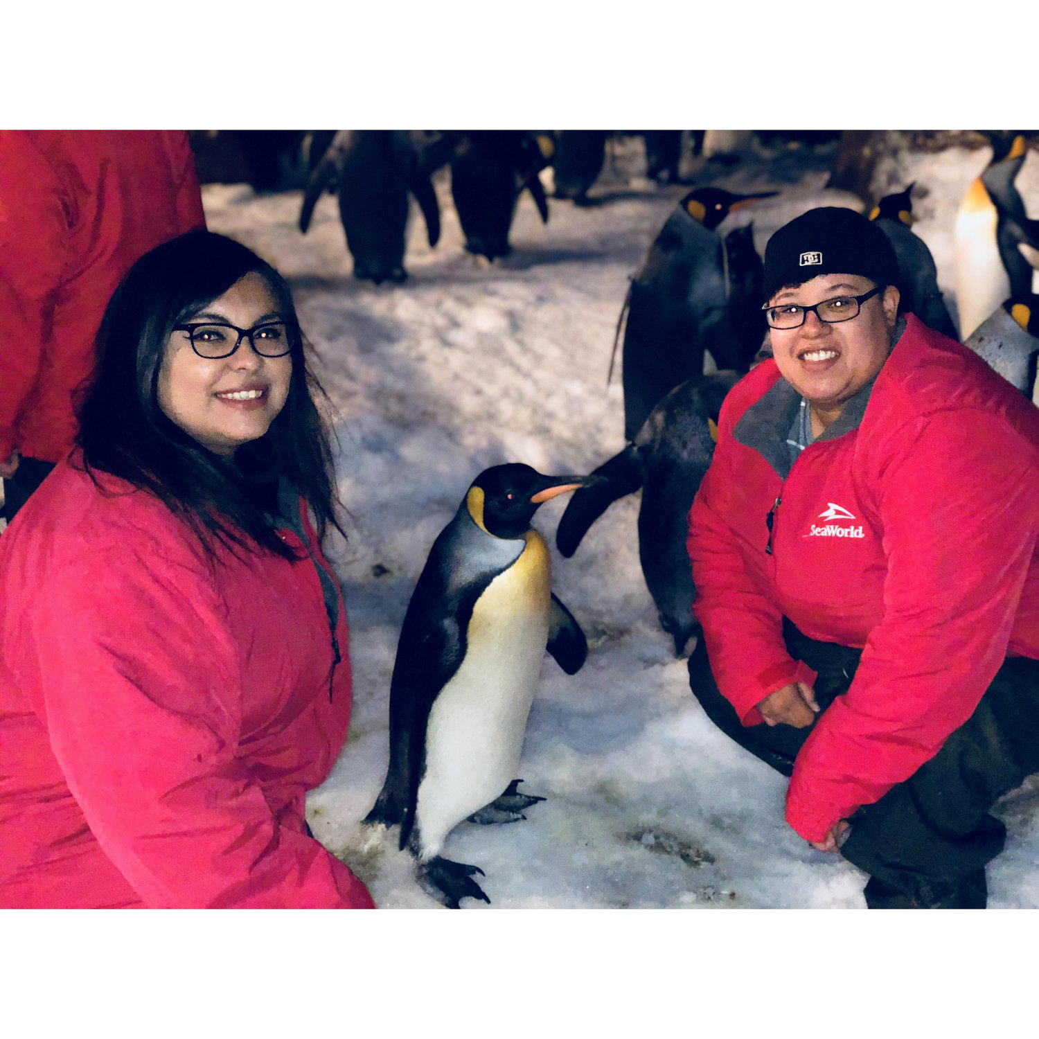 One of the funnest trips we took ♥️