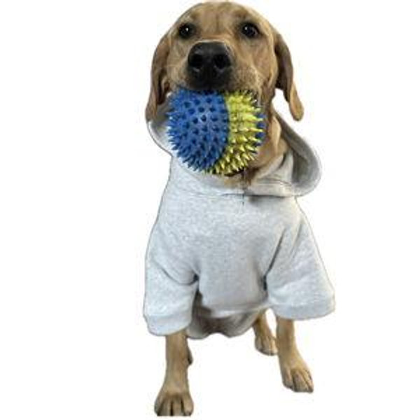 Tahoe's Toy Fund