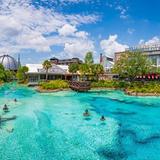 Disney Springs