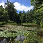 Highlands Biological Station