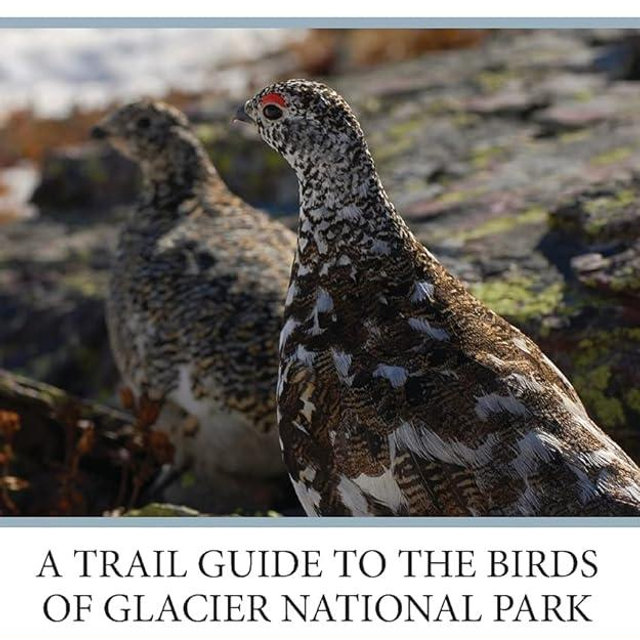 Glacier is for the Birds: A Trail Guide to the Birds of Glacier National Park