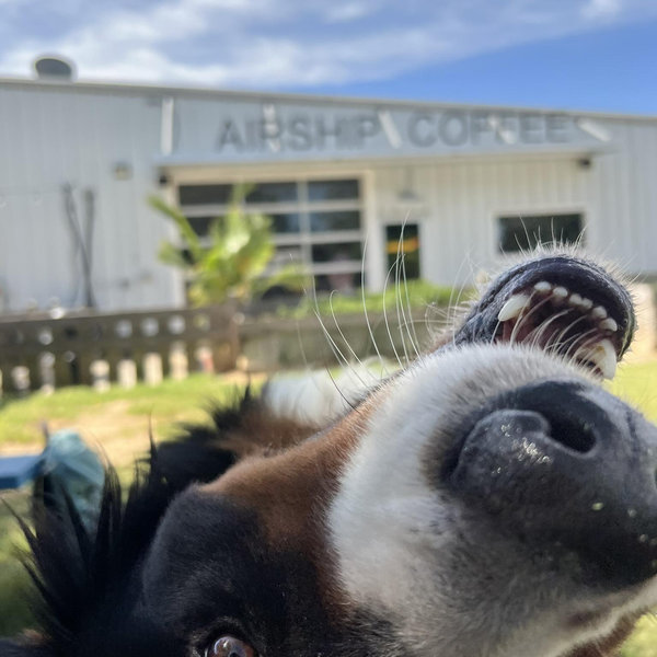 Coffee Shop Dates
