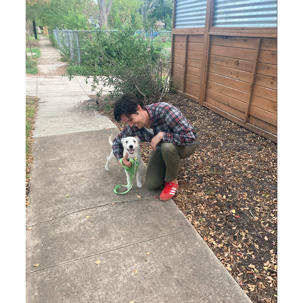Millie's first walk with her new family