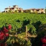 Wise Villa Winery