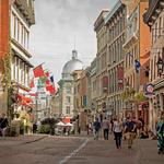Explore the Old Port