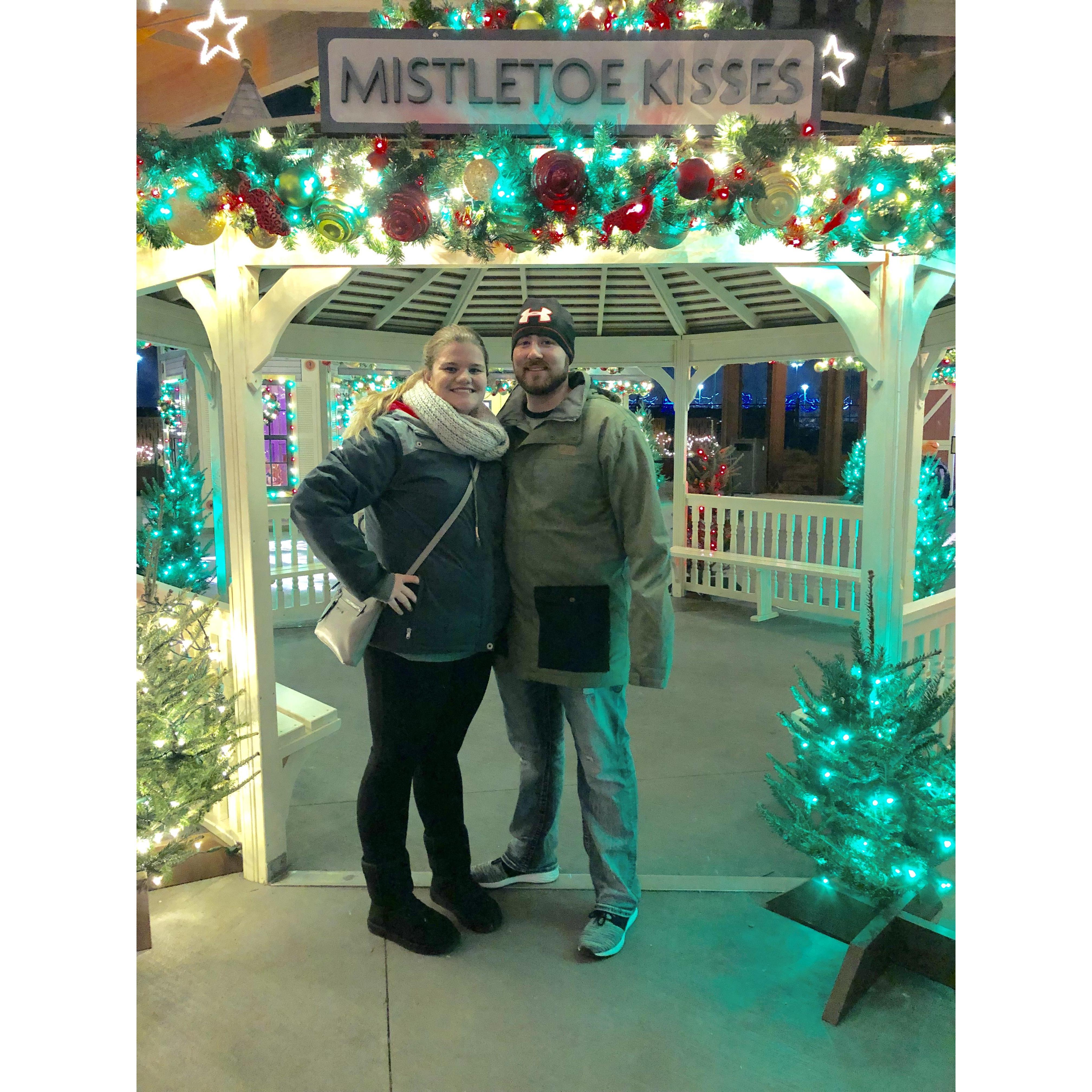 Christmas at the Zoo 2018